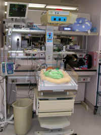 NICU1.jpg (372392 bytes)